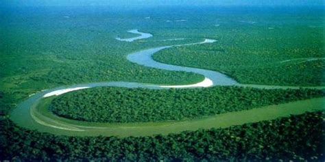 Top 10 Longest Rivers Of The World Assignment Point