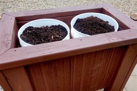 Throw those puppies in a place where they get a i have all of my plants on a deck because i rent my home. How To Grow In 5 Gallon Buckets - A Simple Way To Garden ...