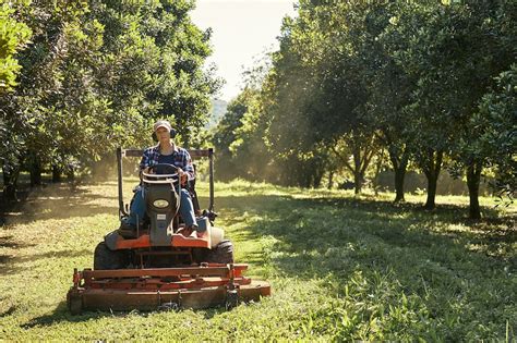 I found a macadamia nut tree in the middle of the property where i am staying and got permission to harvest some of the nuts.the nuts have to be collected. Australian Macadamia nut farmers set out to improve ...