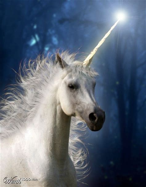 49 Best Black Unicorns Images On Pinterest Black Unicorn Unicorns