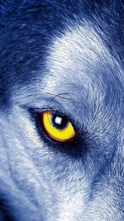 Wolf Wallpapers Iphone Eyes Wolves Cool Animal