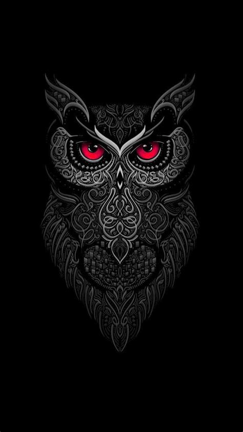 Download Free Owl Wallpaper Discover More Bird Cool Owl Cute Owl