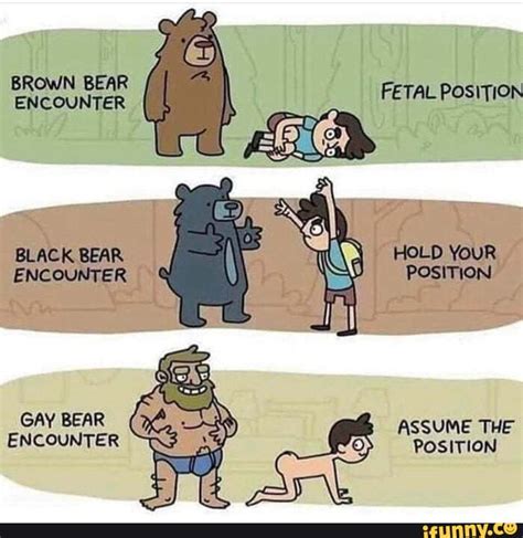 brown bear encounter fetal position black bear hold your encounter position gay bear assume the