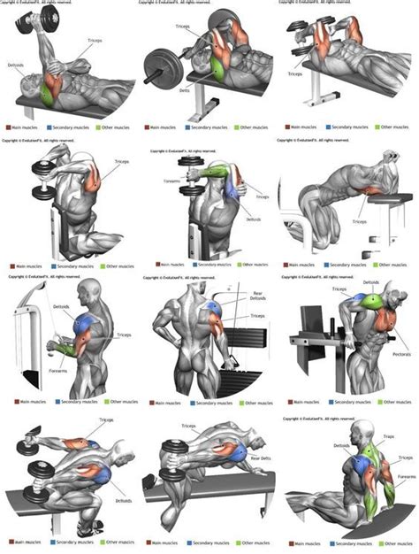 Tricep Exercises Fitnessourcetips