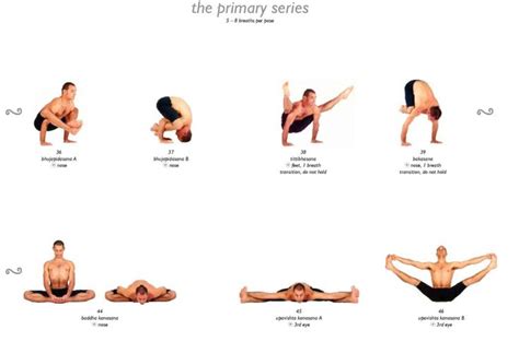 Sequencing Sitting Asanas Yoga Asanas Asana Yoga Postures