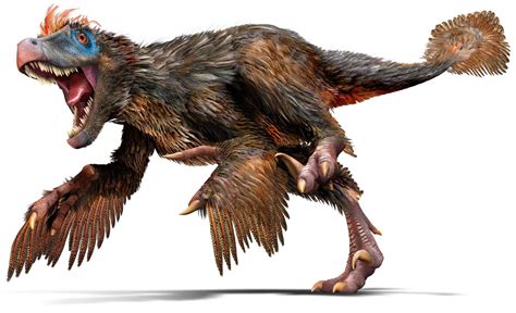Velociraptor Dinopedia The Free Dinosaur Encyclopedia