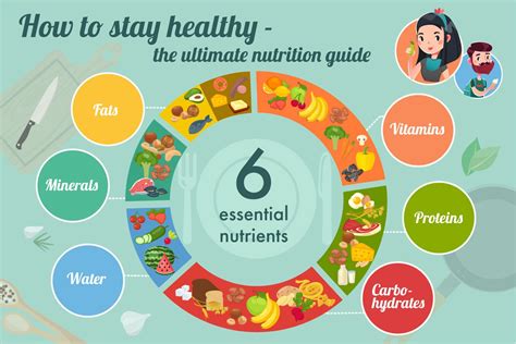 Everything You Need To Know To Stay Healthy How To Stay Healthy