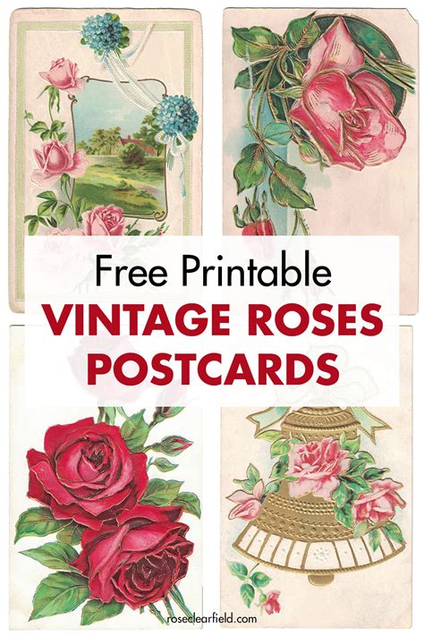 Free Printable Vintage Roses Postcards Rose Clearfield