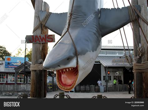 Jaws Prop Image And Photo Bigstock