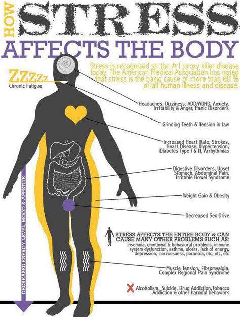 Stress And Anxiety