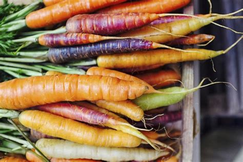 Why Carrots Are Different Colors And Fun Facts Delishably