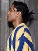 A$AP Rocky's Sectioned Braids | Celebrity haircuts, Asap rocky hair ...