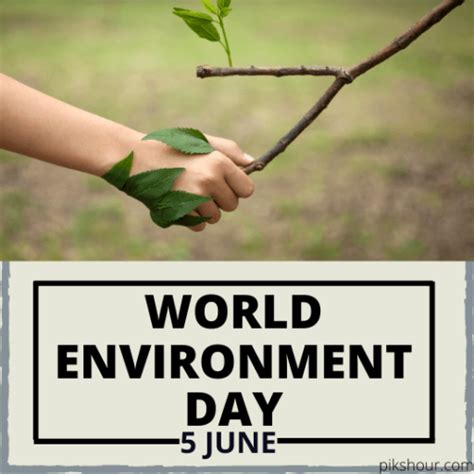 World Environment Day 2021 : World Environment Day 2021: Theme, Wishes, Quotes, HD ... / To ...