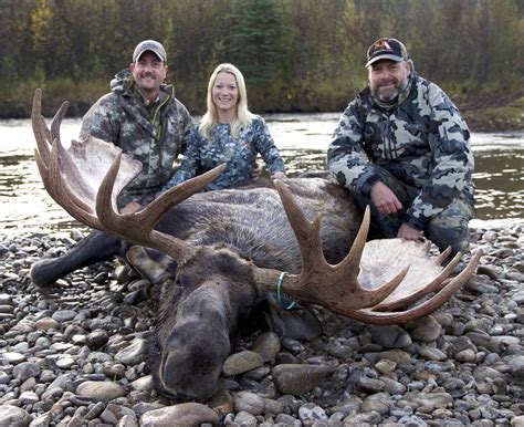 Yukon Moose Hunting Ak Trips4trade