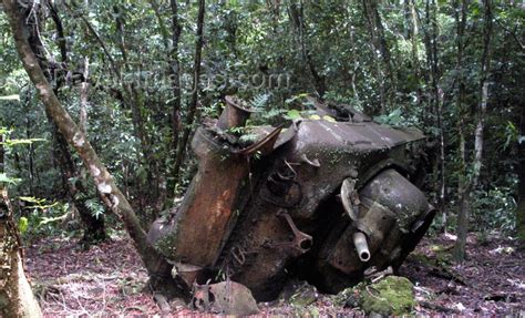 Peleliu Beliliou Island Palau Wwii Sherman Tank Destroyed By The