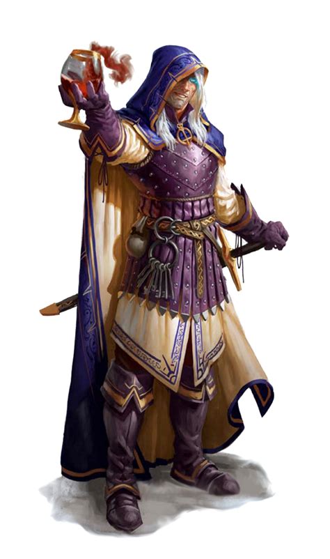 Male Human Magus Pathfinder Pfrpg Dnd Dandd D20 Fantasy Fantasy Wizard Fantasy Male Fantasy