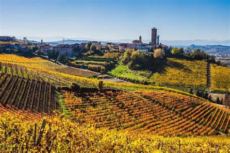 Private Tour Piedmont Wine Tasting Of The Barolo Region