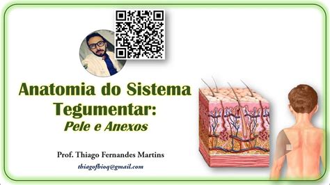 Aula Anatomia Do Sistema Tegumentar Youtube