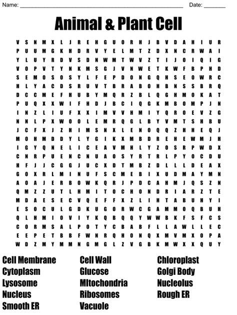 Plant And Animal Cells Word Search Wordmint
