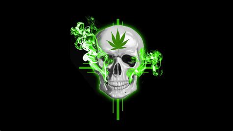 Funny Weed Wallpapers Top Free Funny Weed Backgrounds Wallpaperaccess