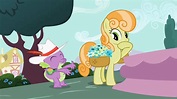 Junebug | My Little Pony Friendship is Magic Wiki | FANDOM powered by Wikia