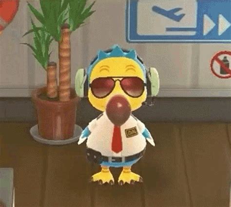 Animal Crossing Dodo  Animal Crossing Dodo Airlines Discover