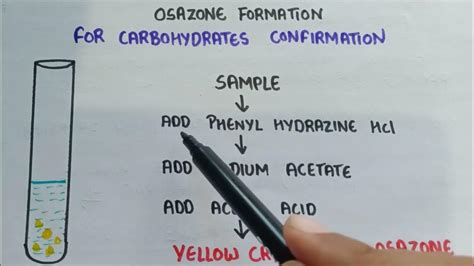 Test For Carbohydrates Osazone Formation Test For Carbohydrates