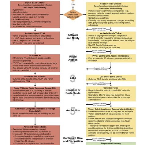 Two Tiered Sepsis Pathway Download Scientific Diagram
