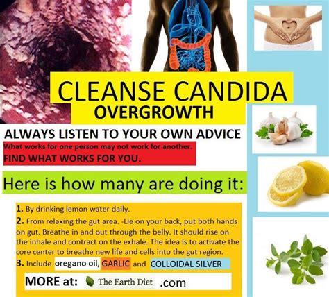 Rockin Wellness Inc Candida Overgrowth Candida Diet Candida Diet