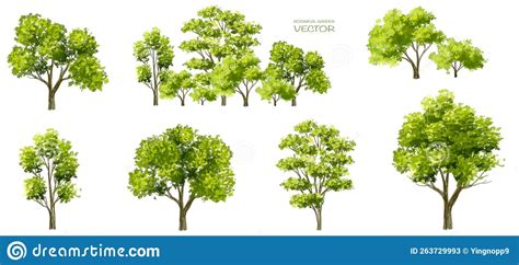 Vector Watercolor Green Tree Or Forest Top View Isolated On White
