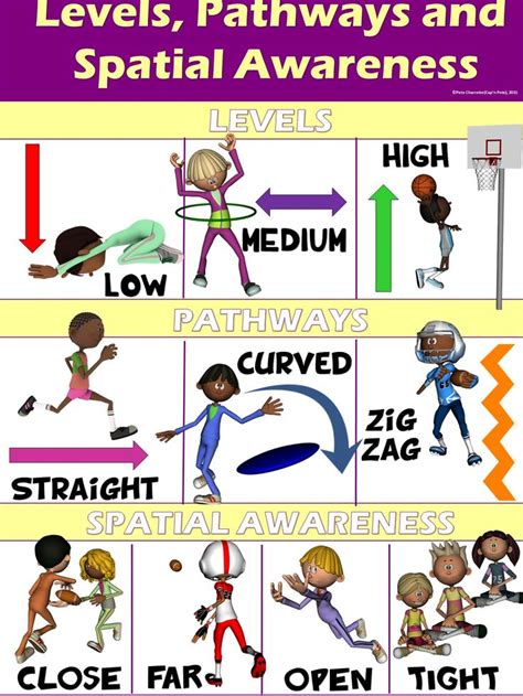 Pe Poster Levels Pathways And Spatial Awareness Physical Education
