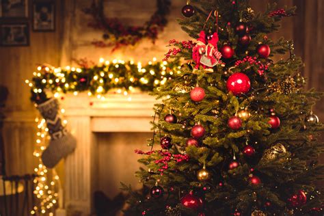 Alle Jahre Wieder Wir Suchen Den Schönsten Weihnachtsbaum