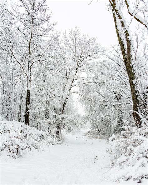 Portrait Of The Snowy Landscape Photograph By Terri Morris Pixels