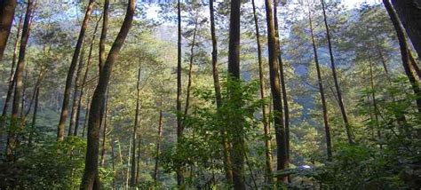 Taman Hutan Raya Juanda 17 Harga Tiket Masuk And Sejarah