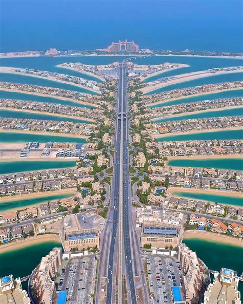Apartments For Sale And Rent In Palm Jumeirah Dubai Palm Island Dubai