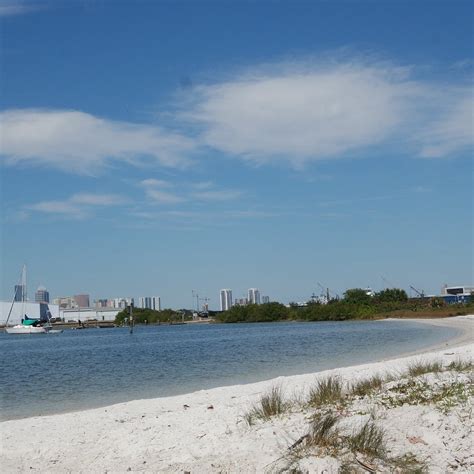 Davis Island Dog Beach Tampa All You Need To Know Before You Go