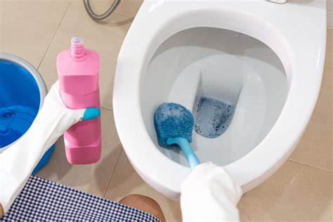 Keep Your Toilet Bowl Naturally Clean Fenwick Home Services