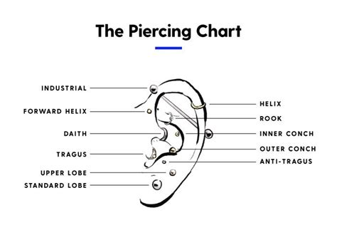Piercing Healing Chart A Visual Reference Of Charts Chart Master