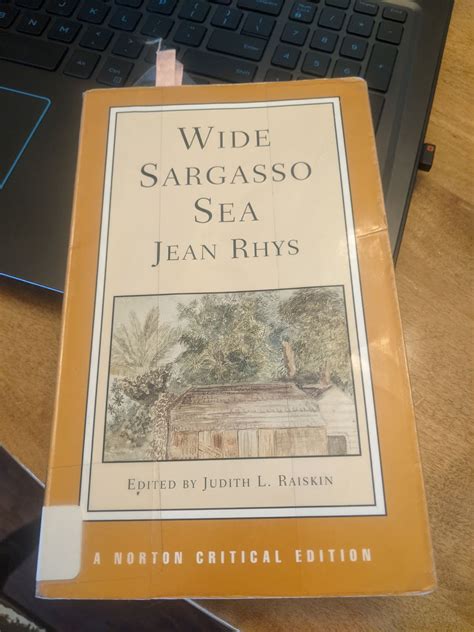 Wide Sargasso Sea By Jean Rhys Heart Wants Books