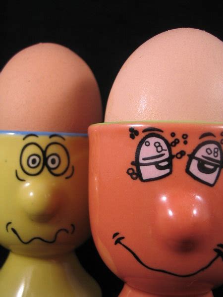 Egg Heads 1 Free Stock Photos Rgbstock Free Stock Images