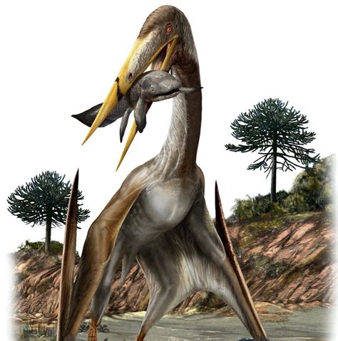 Largest Ever Flying Creatures Had Longer Necks Than Giraffes We Found