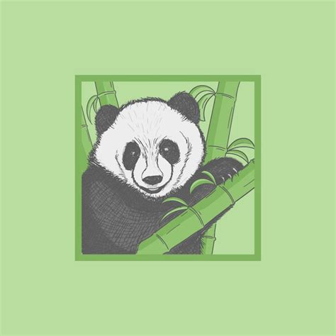 Premium Vector Hand Drawn Panda Animal Illustration