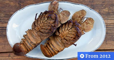 The Slipper Lobster Endangered But Oh So Tasty Israeli Culture
