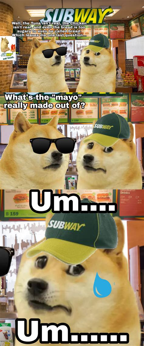 Le Subway Has Arrived Rdogelore Ironic Doge Memes Know Your Meme