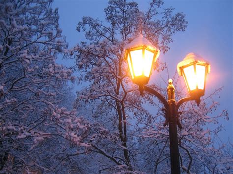 Lantern Winter Snow Light Trees Wallpapers Hd