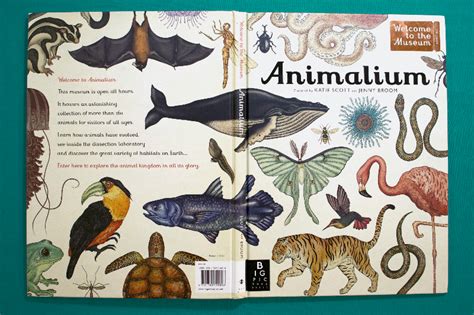 Friday Book Review Animalium Emma Lee Potter