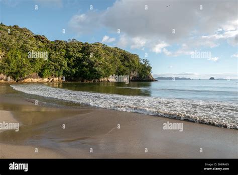 Cooks Beach At Purangi In New Zealand Stock Photo Alamy