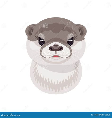 Funny River Otter Cub On White Stock Vector Illustration Of Child