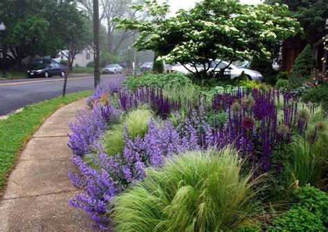 Mexican Feather Grass And Russian Sage Front Garden Landscape