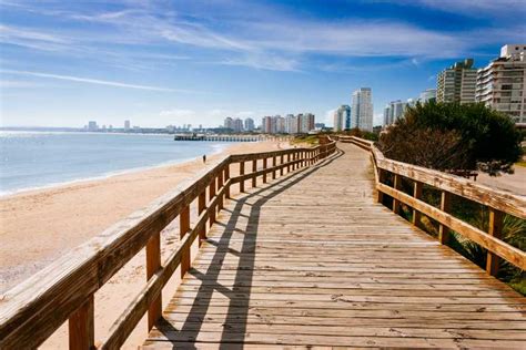 From Montevideo Punta Del Este Full Day Tour Getyourguide
